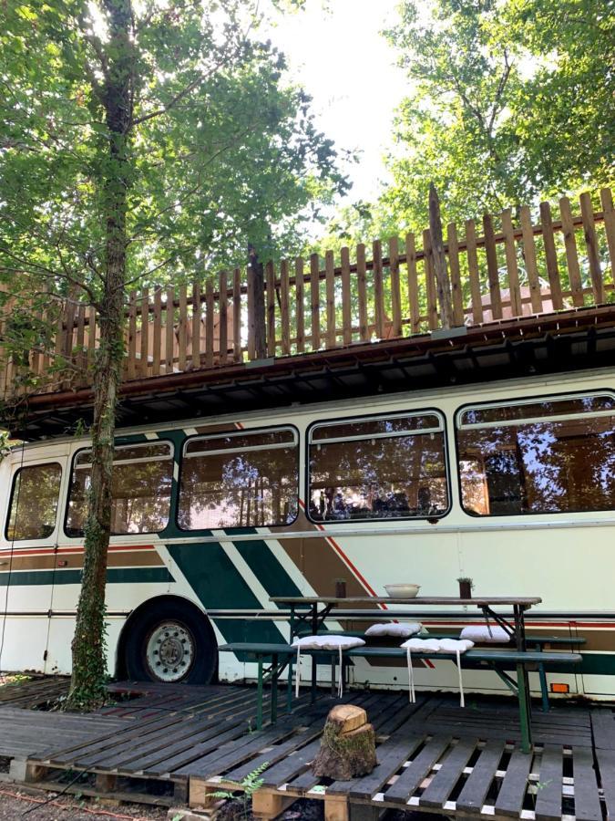 Mimizan-Plage Magic Roof Top Bus With Big Bath In The Tree Forest! מראה חיצוני תמונה
